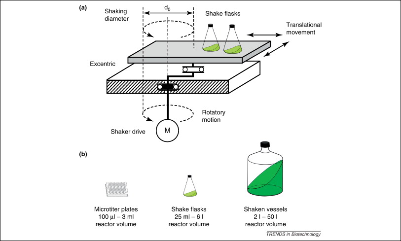 orbital shaker components diagram showing motor platform and control system in laboratory shaker