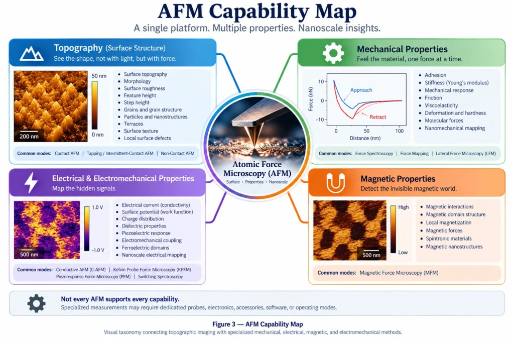 AFM capability map showing topographic, mechanical, electrical, electromechanical, and magnetic measurements.